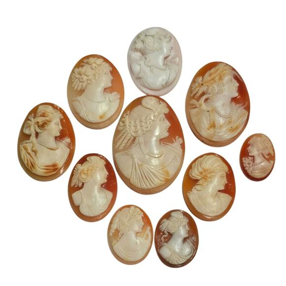 Vintage Conch Shell & Sardonyx Cameo Brooch Lot - Picture 1 of 8